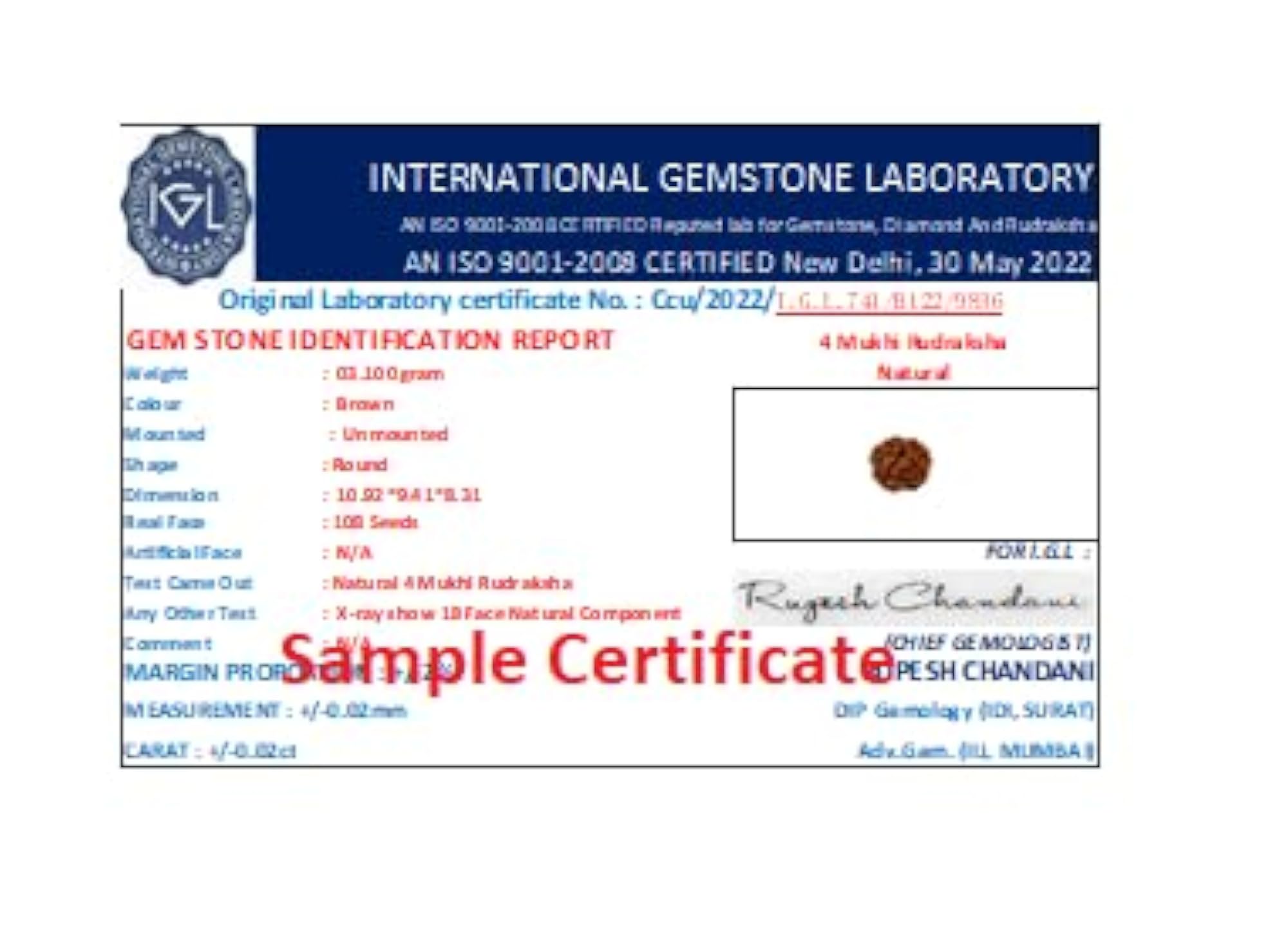 Women's 4 Mukhi Rudraksh Bracelet with Lab Certificate from Nepal